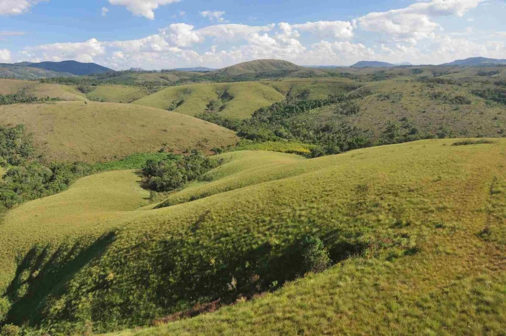 O BIOMA CERRADO