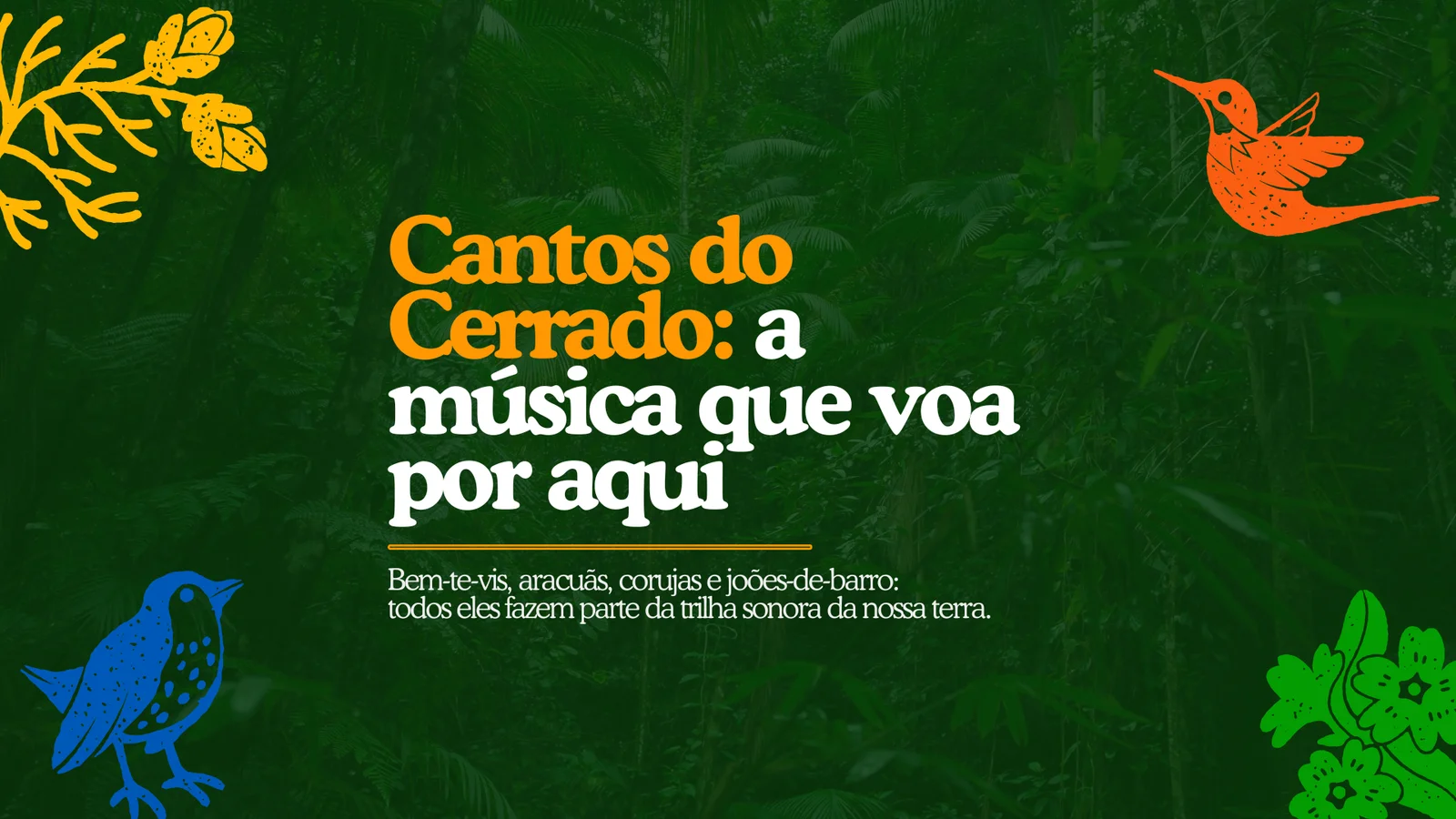 Cantos do Cerrado: a música que voa por aqui